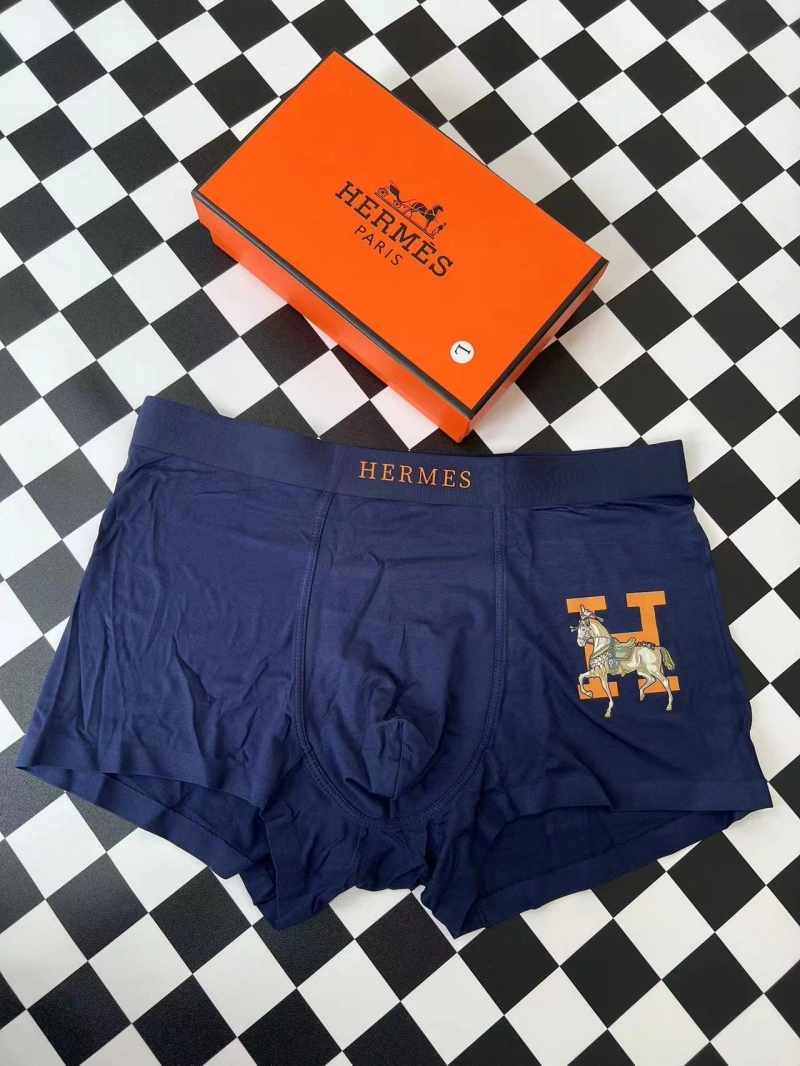 WellDesigned Hermes Underwear 276328