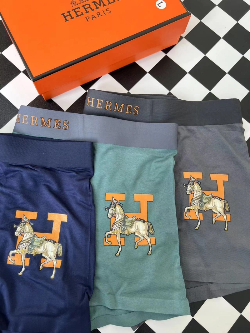 WellDesigned Hermes Underwear 276328
