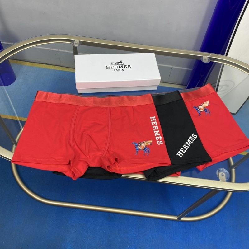 WellDesigned Hermes Underwear 276326