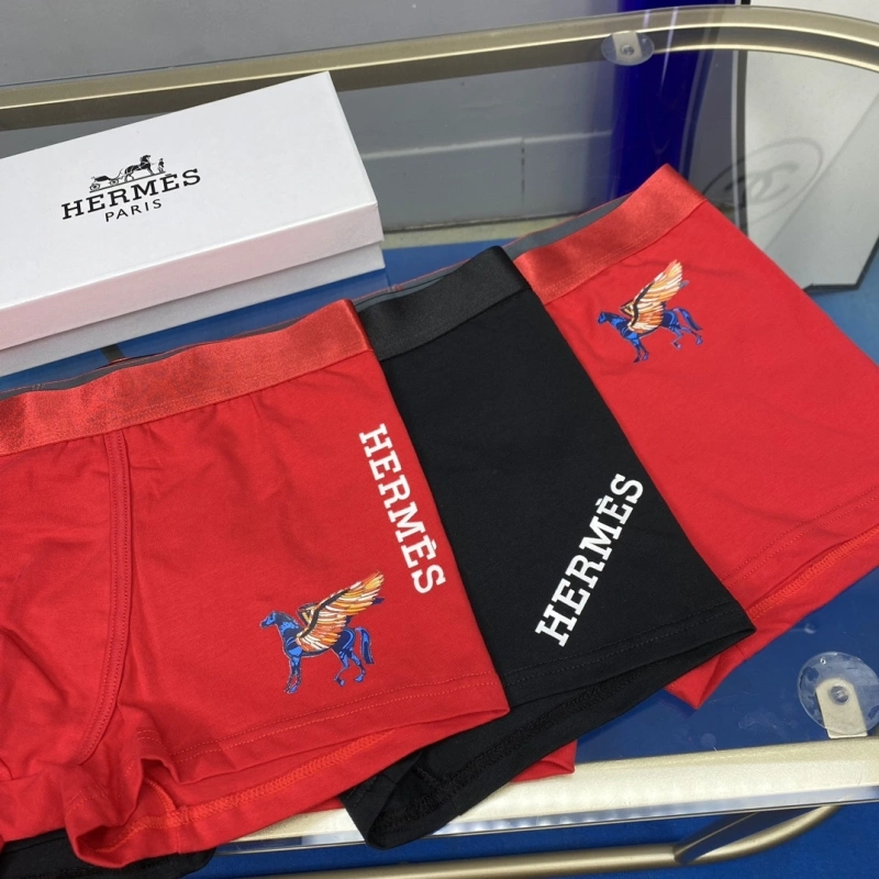 WellDesigned Hermes Underwear 276326