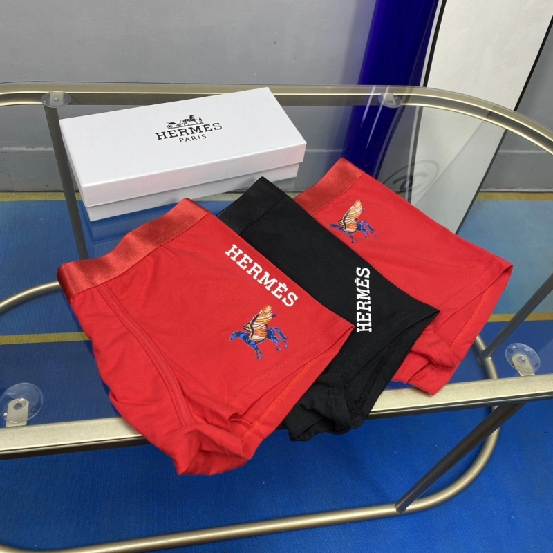 WellDesigned Hermes Underwear 276326