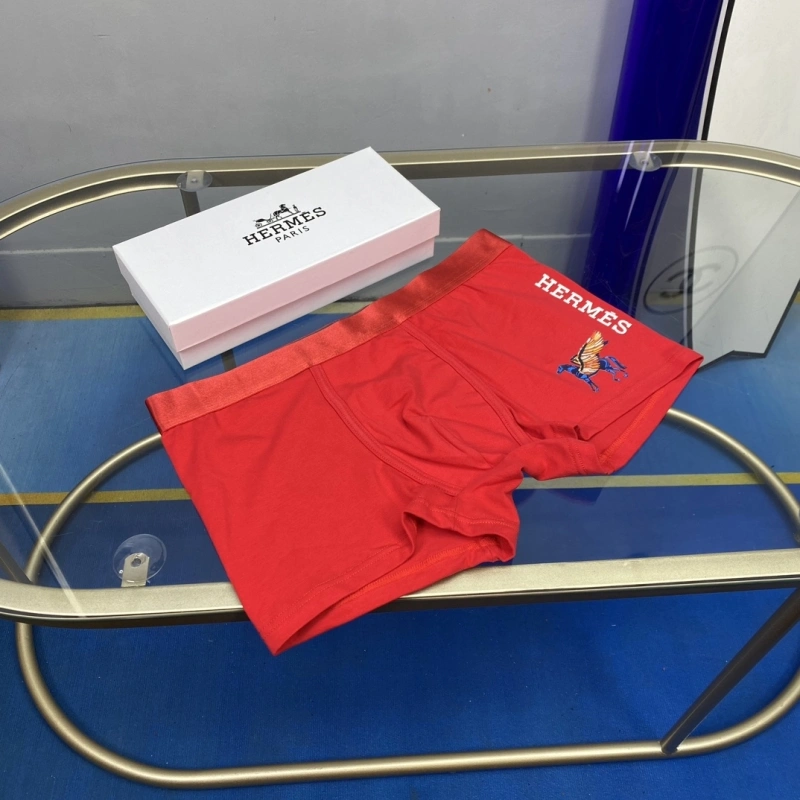 WellDesigned Hermes Underwear 276326