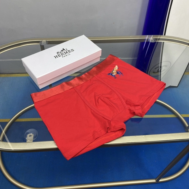 WellDesigned Hermes Underwear 276326
