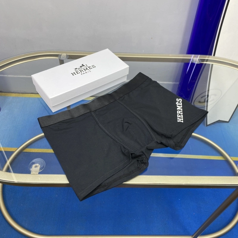 WellDesigned Hermes Underwear 276326