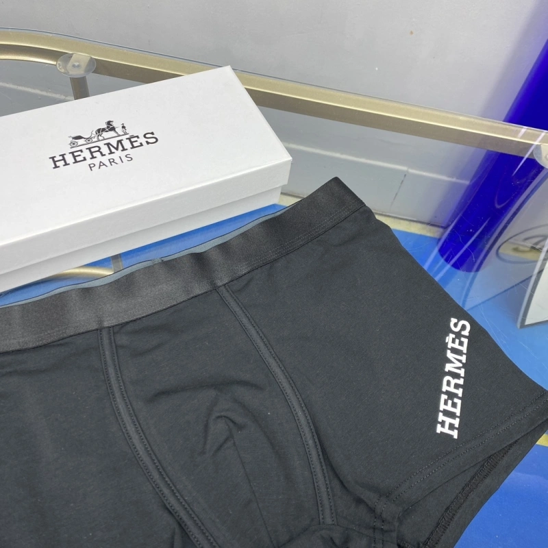 WellDesigned Hermes Underwear 276326