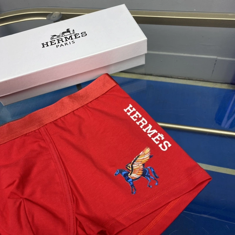 WellDesigned Hermes Underwear 276326