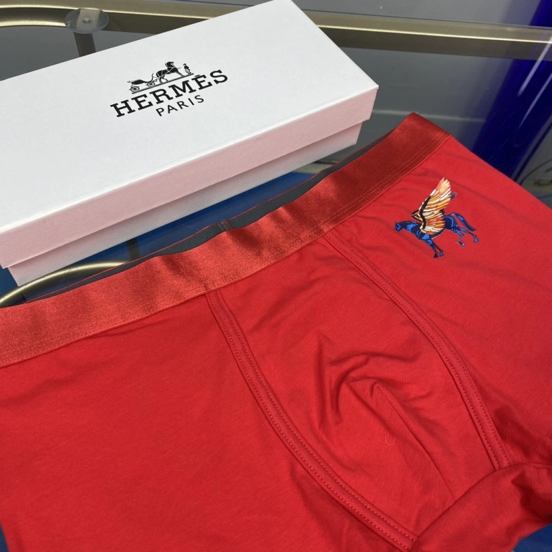 WellDesigned Hermes Underwear 276326