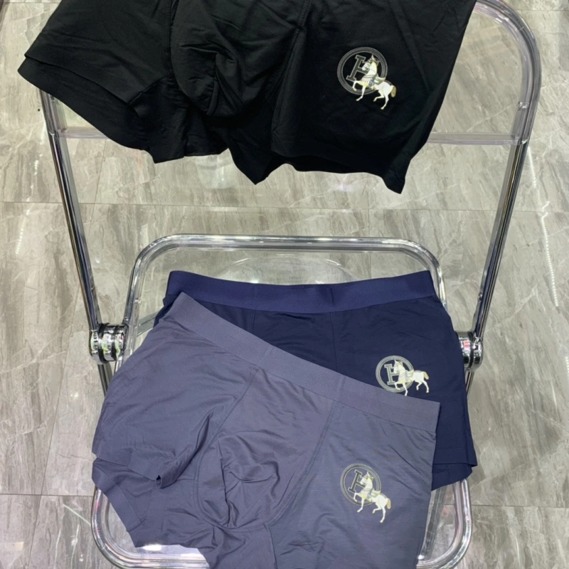 GoodFit Hermes Underwear 276323