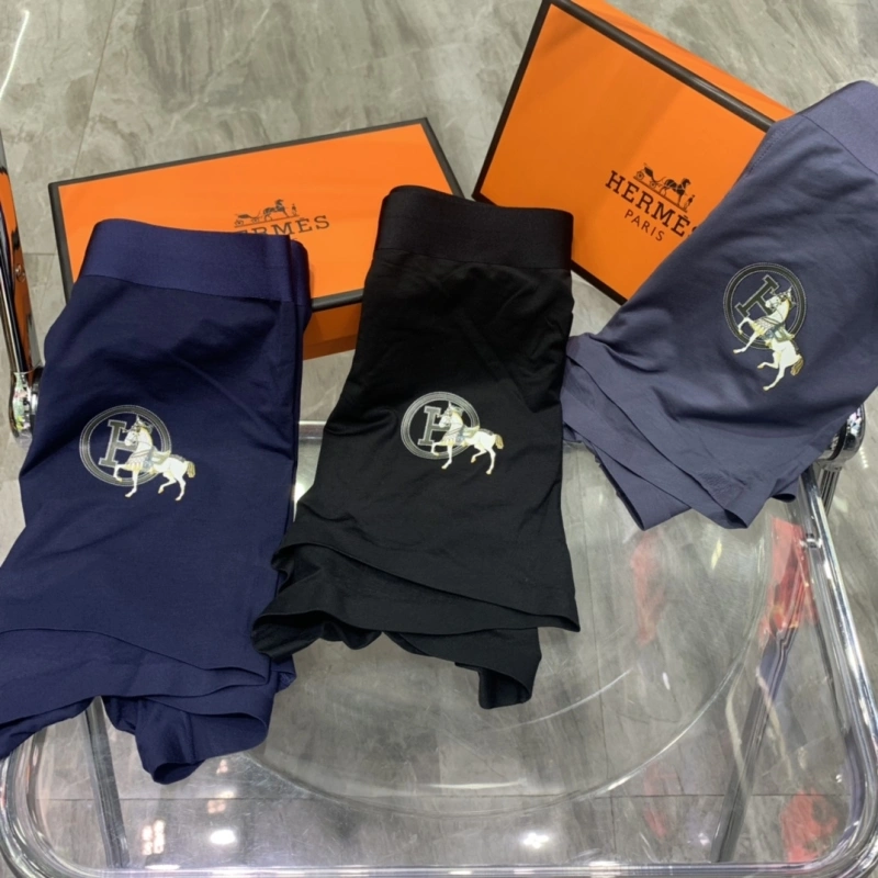 GoodFit Hermes Underwear 276323