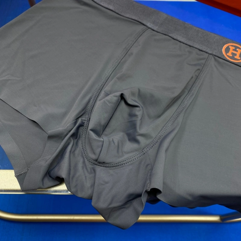 Hermes Underwear Versatile 276324