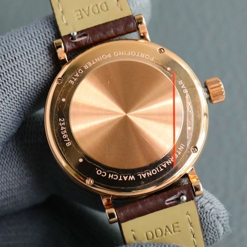 IWC Watches Practical 185720