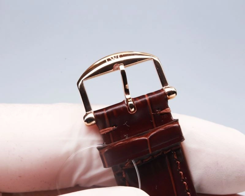IWC Watches Colorful 185689