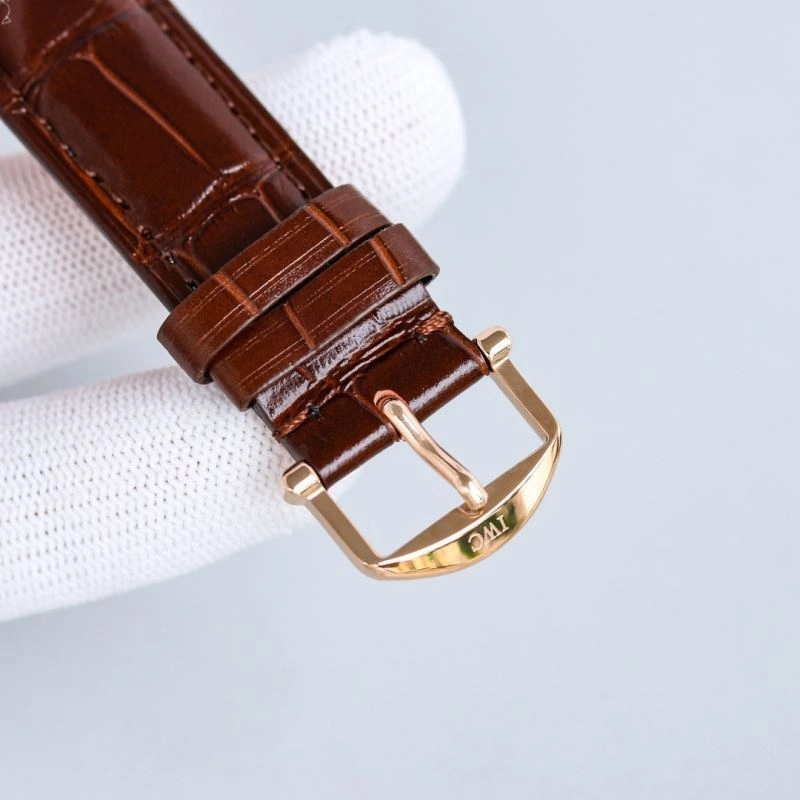 Trendsetting IWC Watches 185672