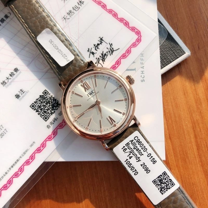 EasyCare IWC Watches 185660