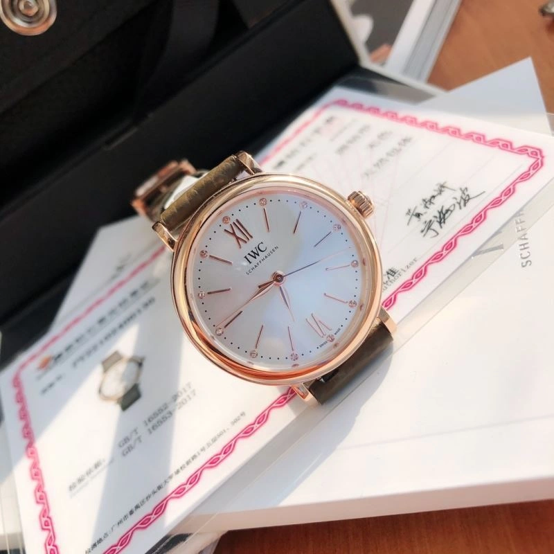 EasyCare IWC Watches 185660