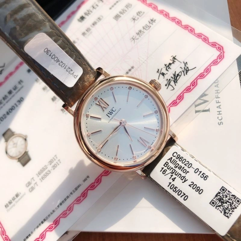 EasyCare IWC Watches 185660