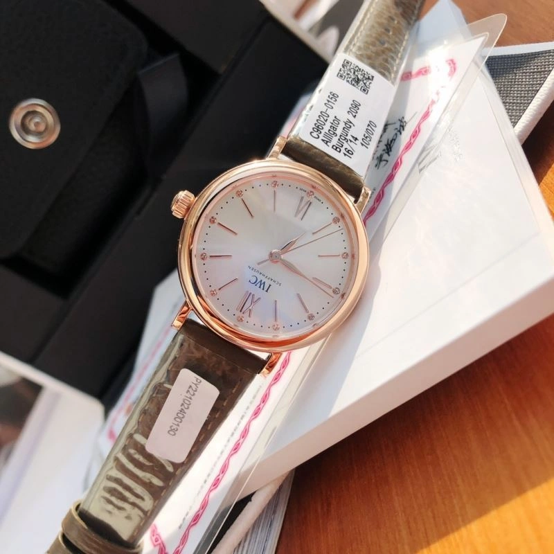 EasyCare IWC Watches 185660
