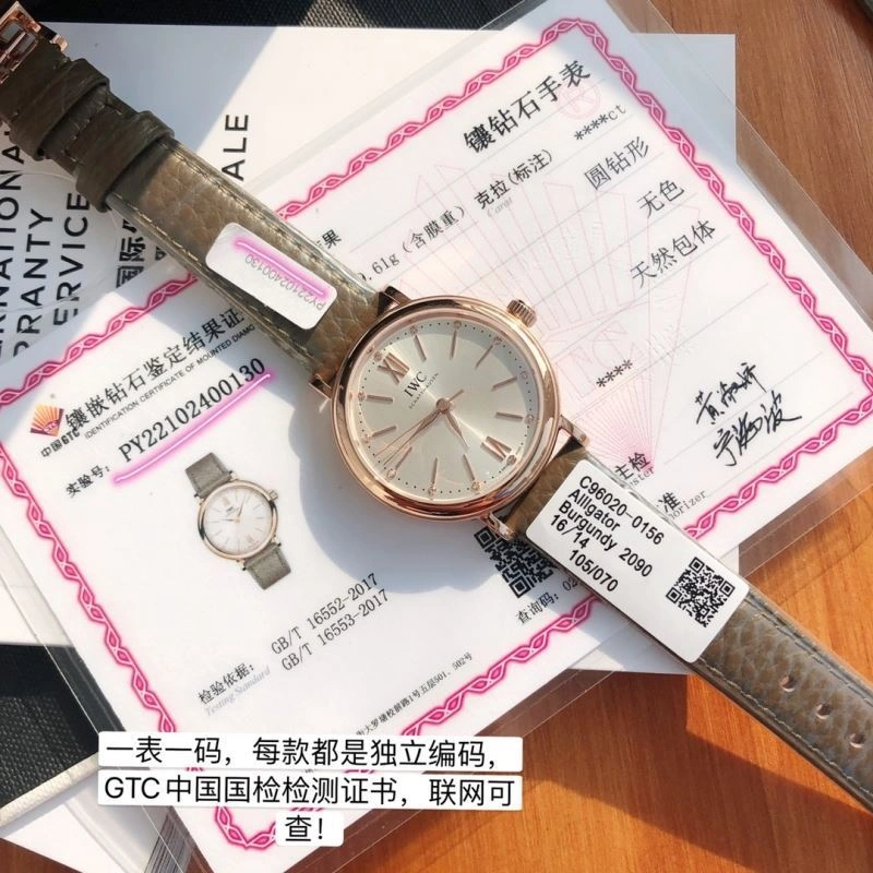 EasyCare IWC Watches 185660