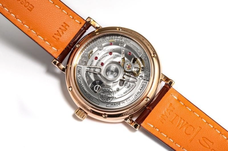 IWC Watches Lightweight 185657