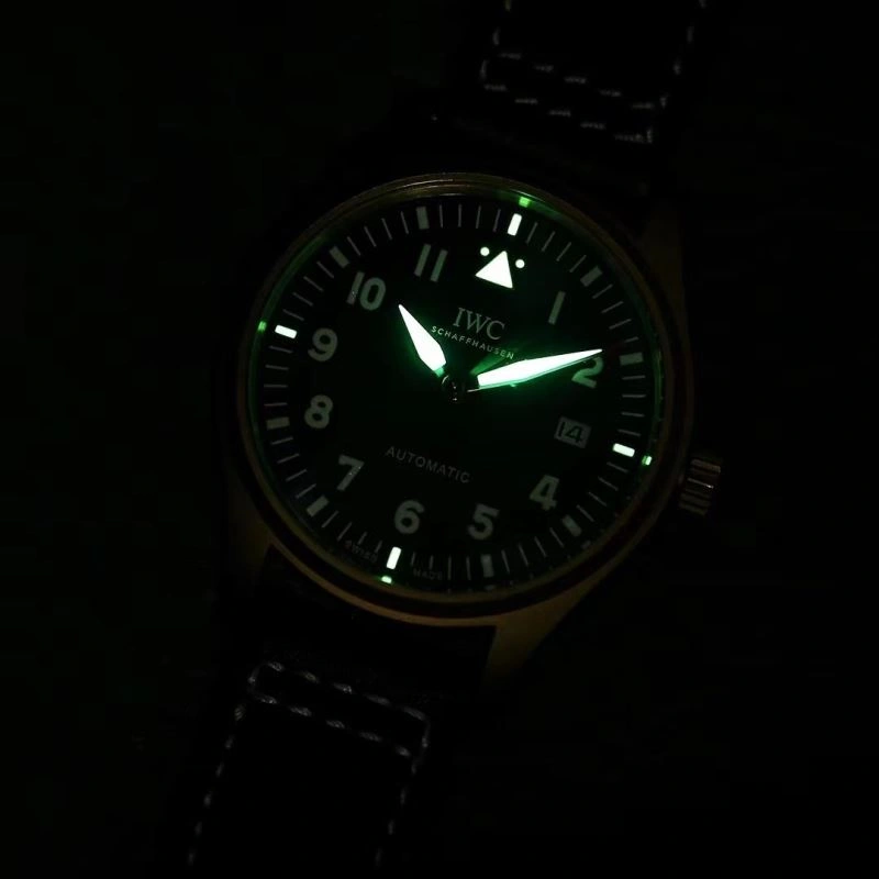 FlexibleFit IWC Watches 185615