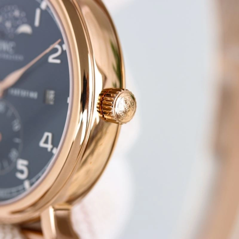 IWC Watches Effortless 185605