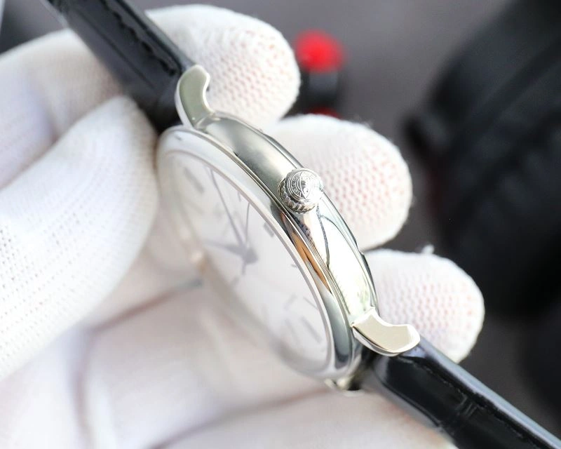 IWC Watches Flexible 185545