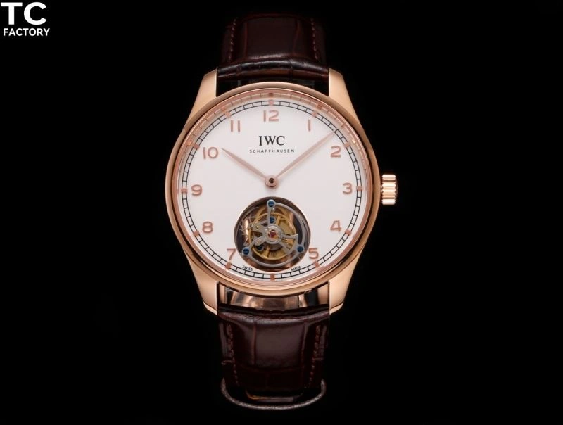 IWC Watches Affordable 185541