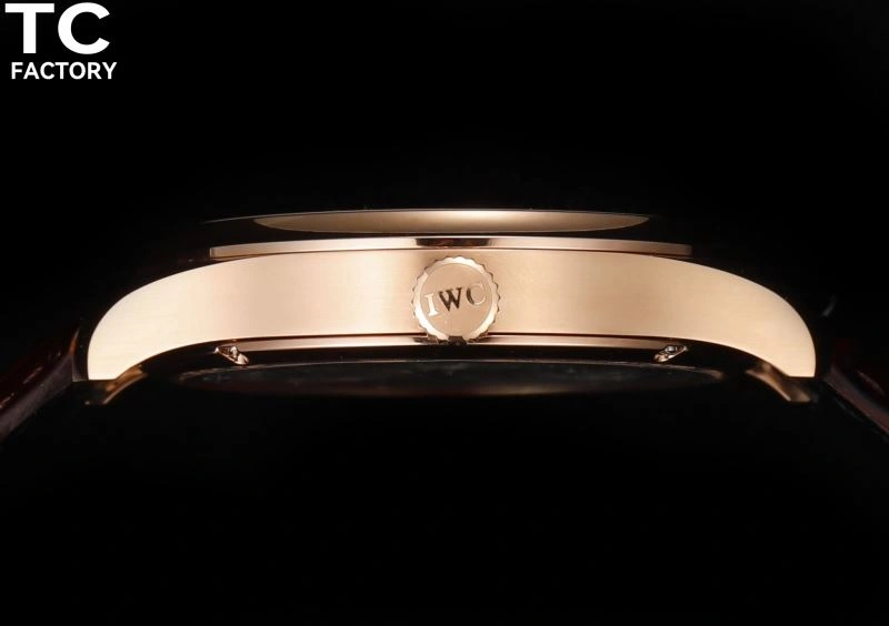 IWC Watches Affordable 185541