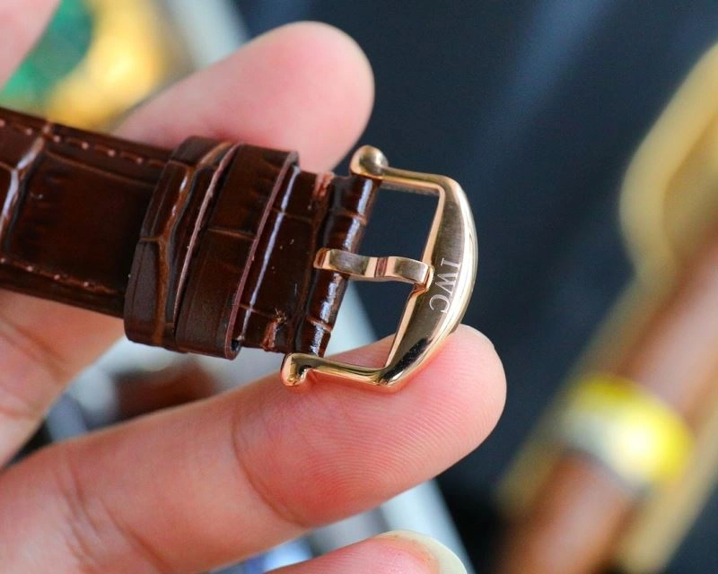 IWC Watches MultiPurpose 185508