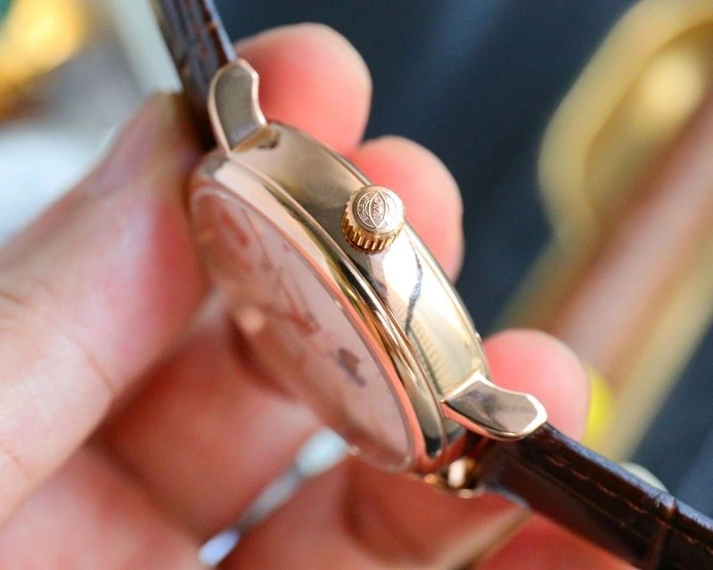 IWC Watches MultiPurpose 185508