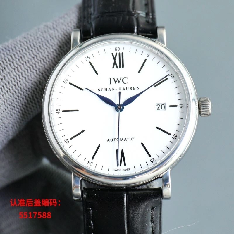 IWC Watches WrinkleFree 185497