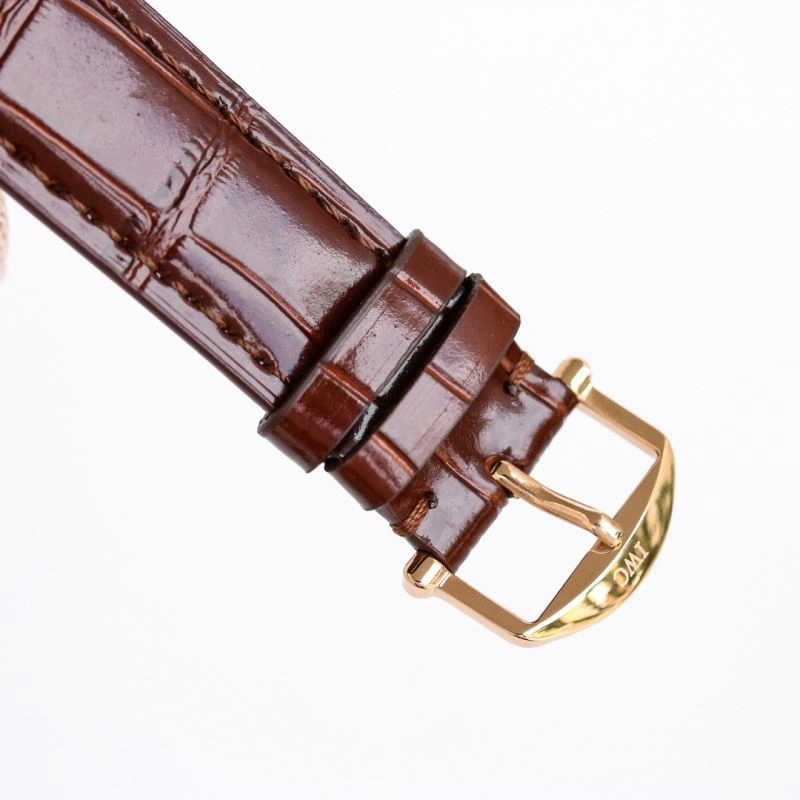 StreetReady IWC Watches 185495