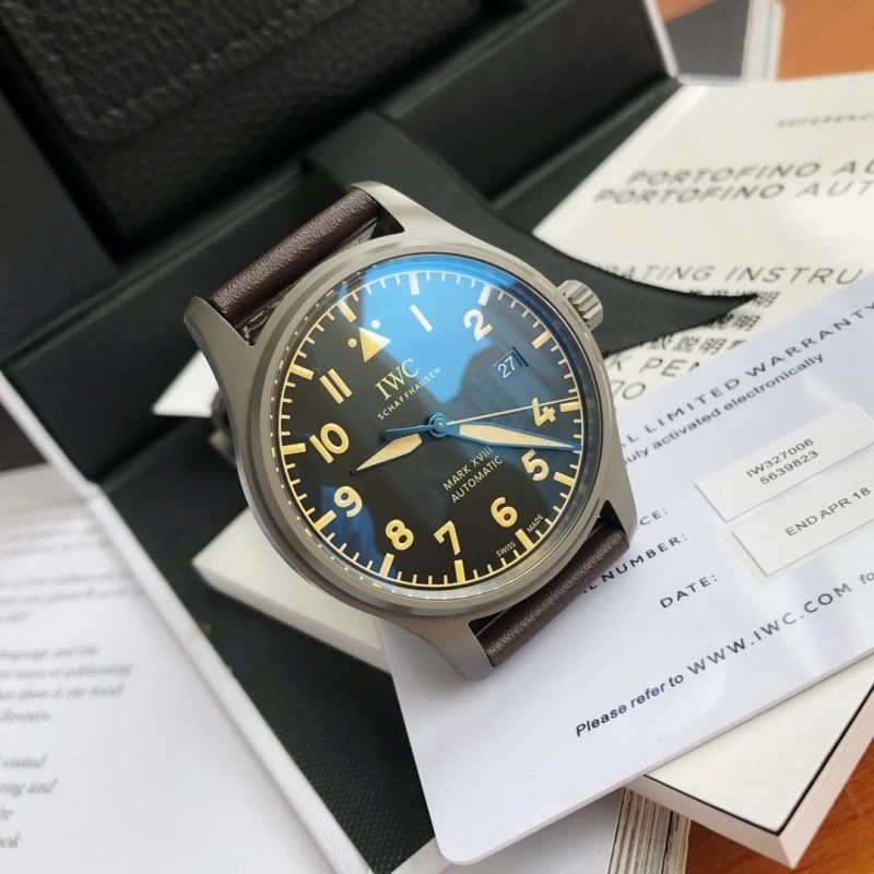 Snug IWC Watches 185485
