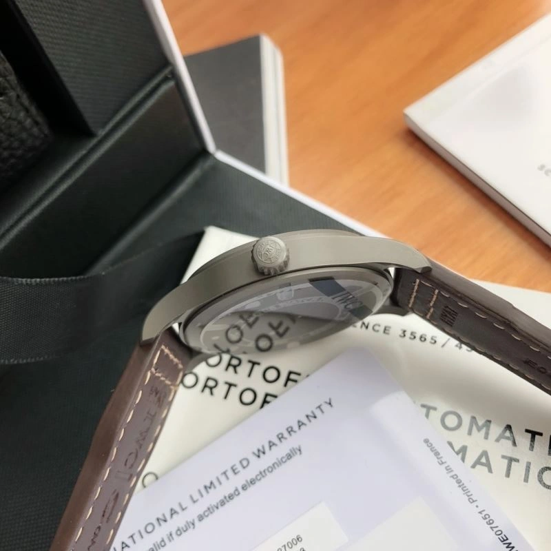 Snug IWC Watches 185485