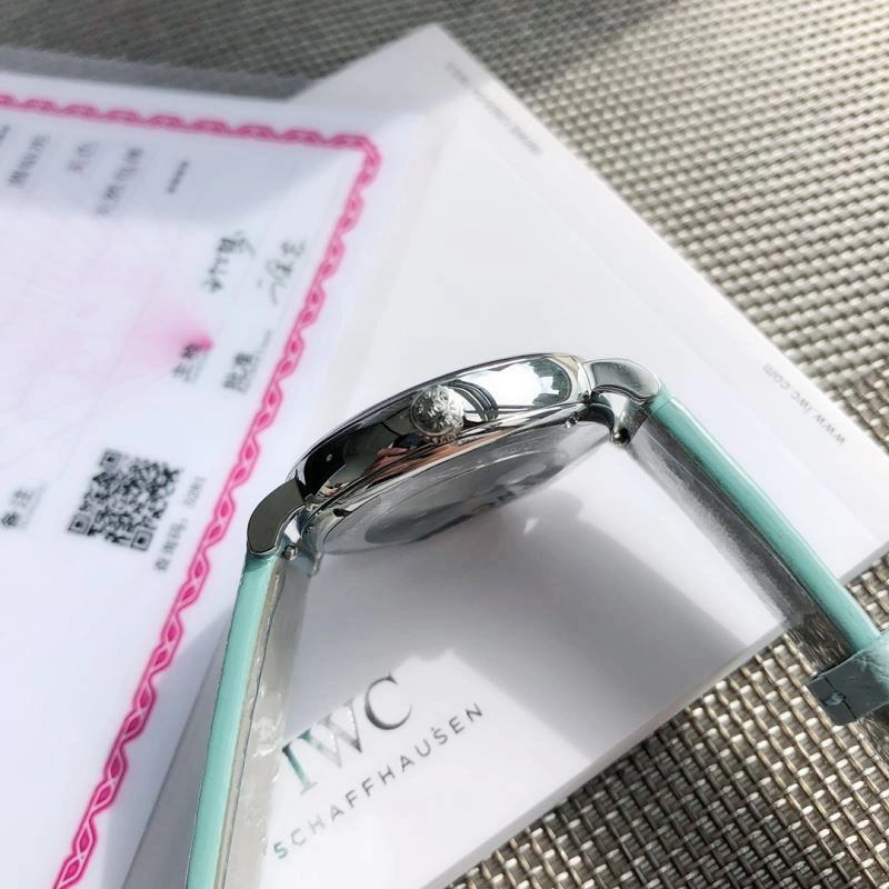 IWC Watches SmartChoice 185504
