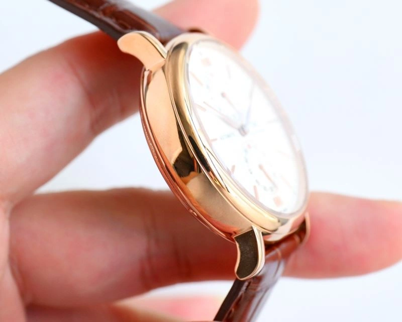 Versatile IWC Watches 185466