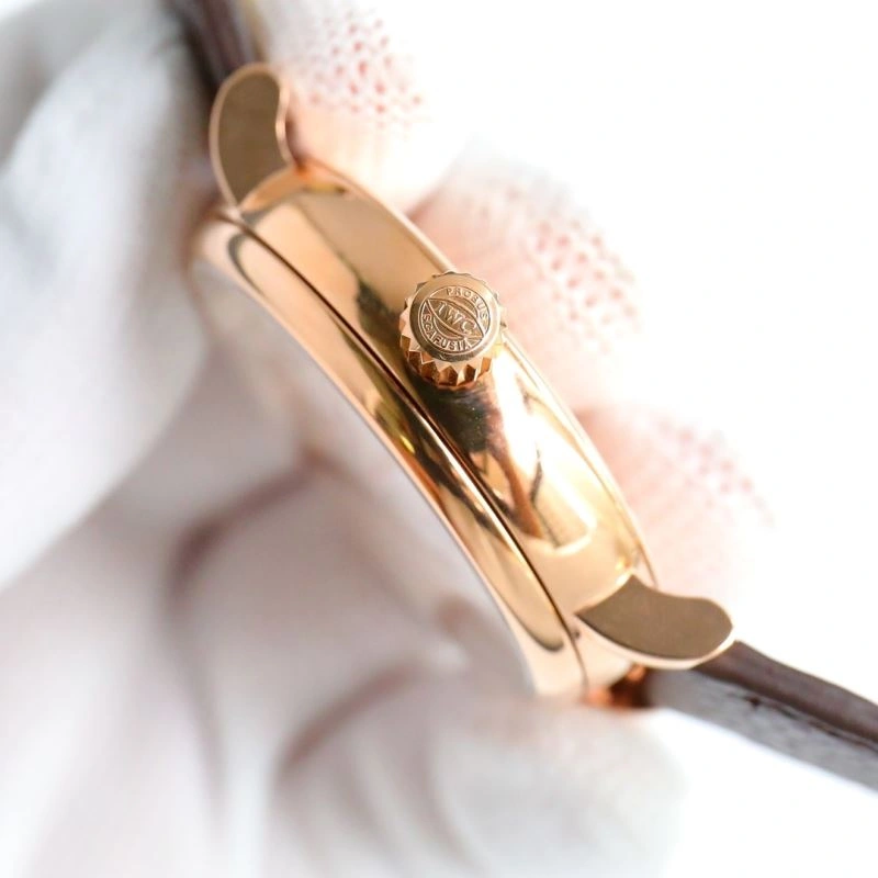 SunProtective IWC Watches 185440