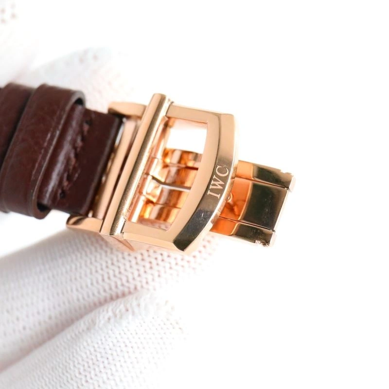 SunProtective IWC Watches 185440