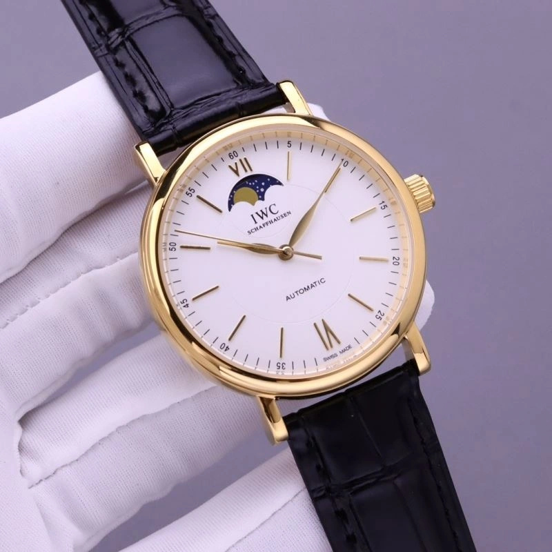 IWC Watches Versatile 185379