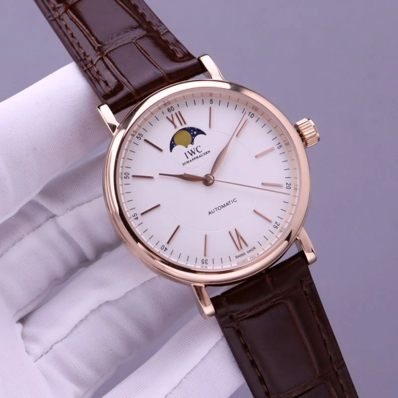IWC Watches Versatile 185379
