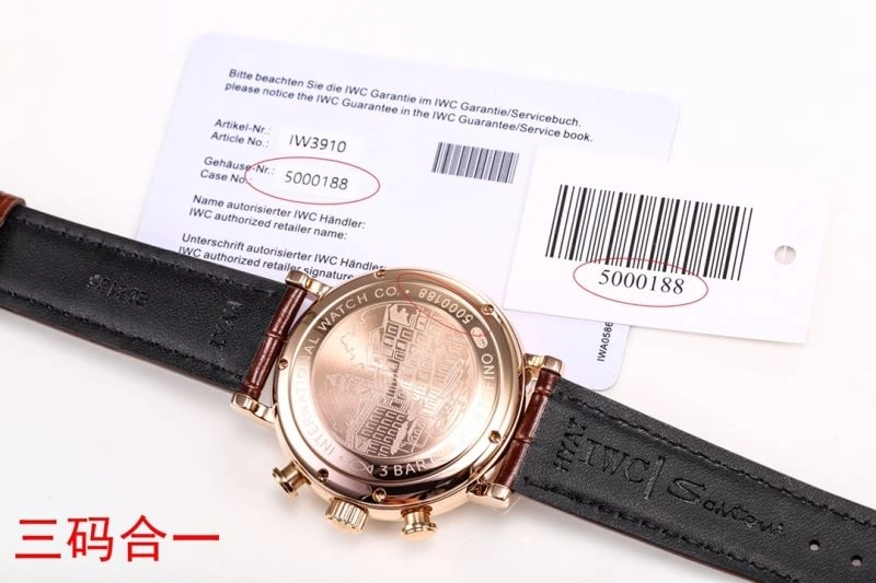 TechFriendly IWC Watches 185361