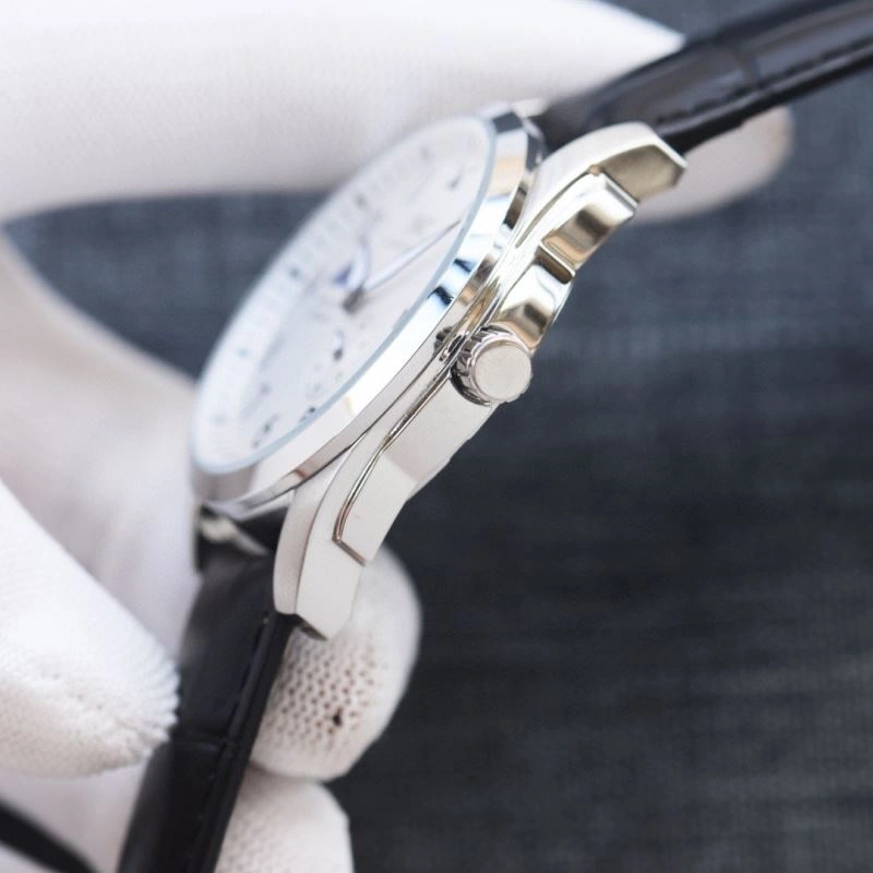 Flexible IWC Watches 185322