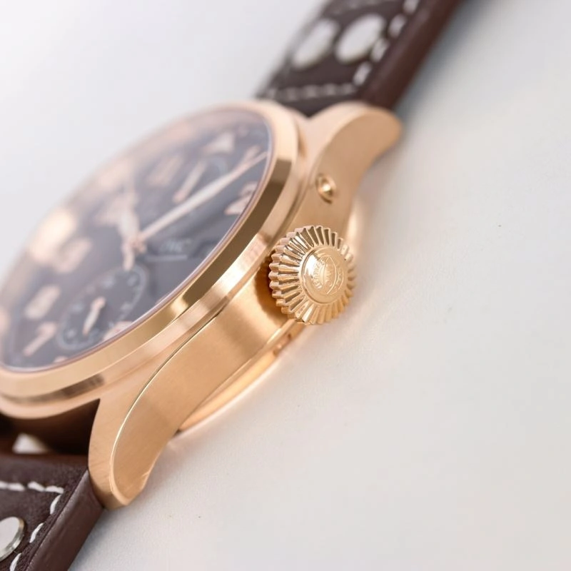 IWC Watches Elegant 185342