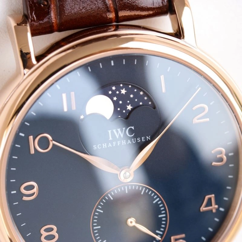 IWC Watches Flexible 185319