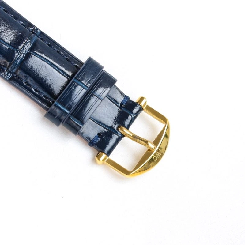 IWC Watches Flexible 185319