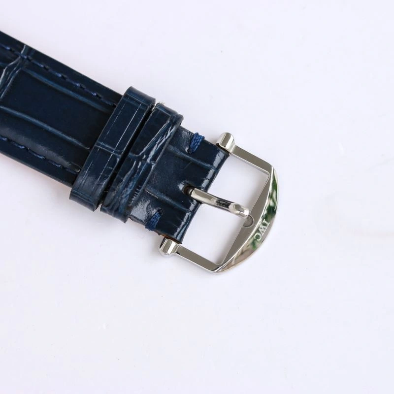 IWC Watches Modern 185290