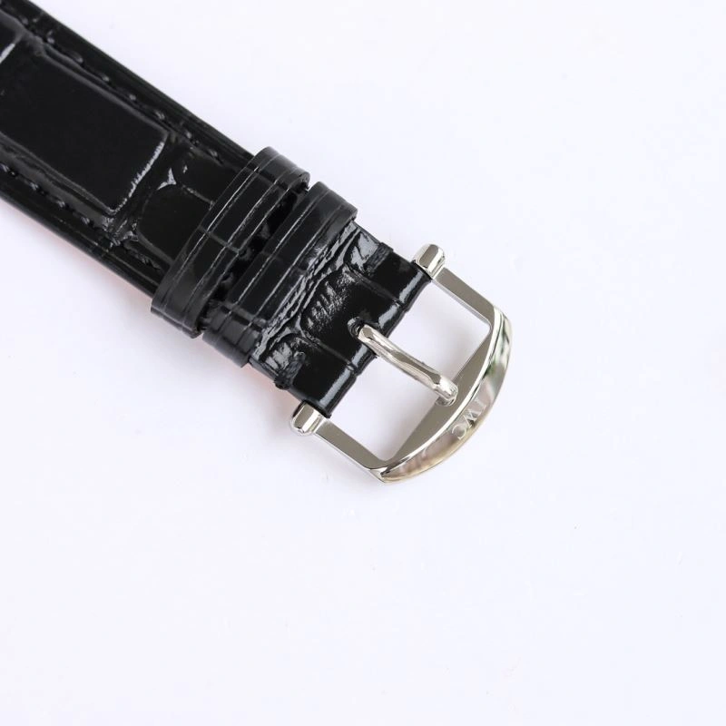 IWC Watches Modern 185284