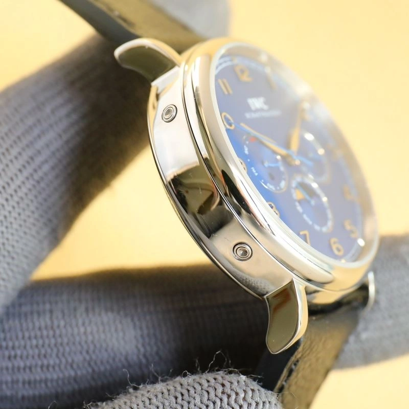 IWC Watches Effortless 185308