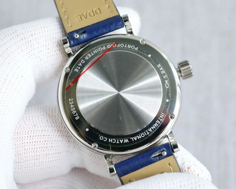 EasyCare IWC Watches 185273