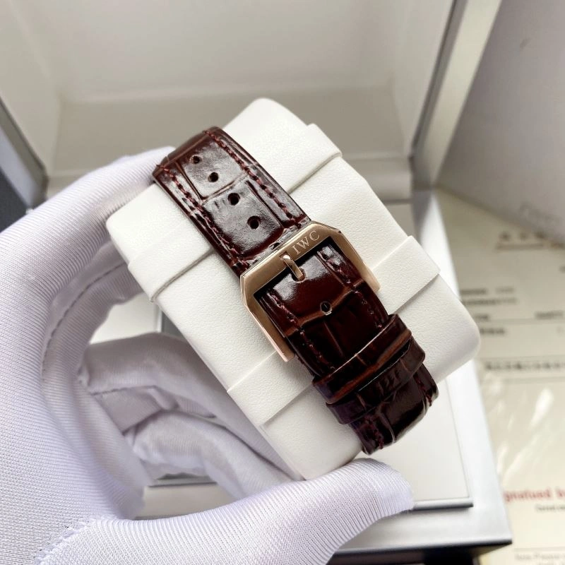 Classic IWC Watches 185263